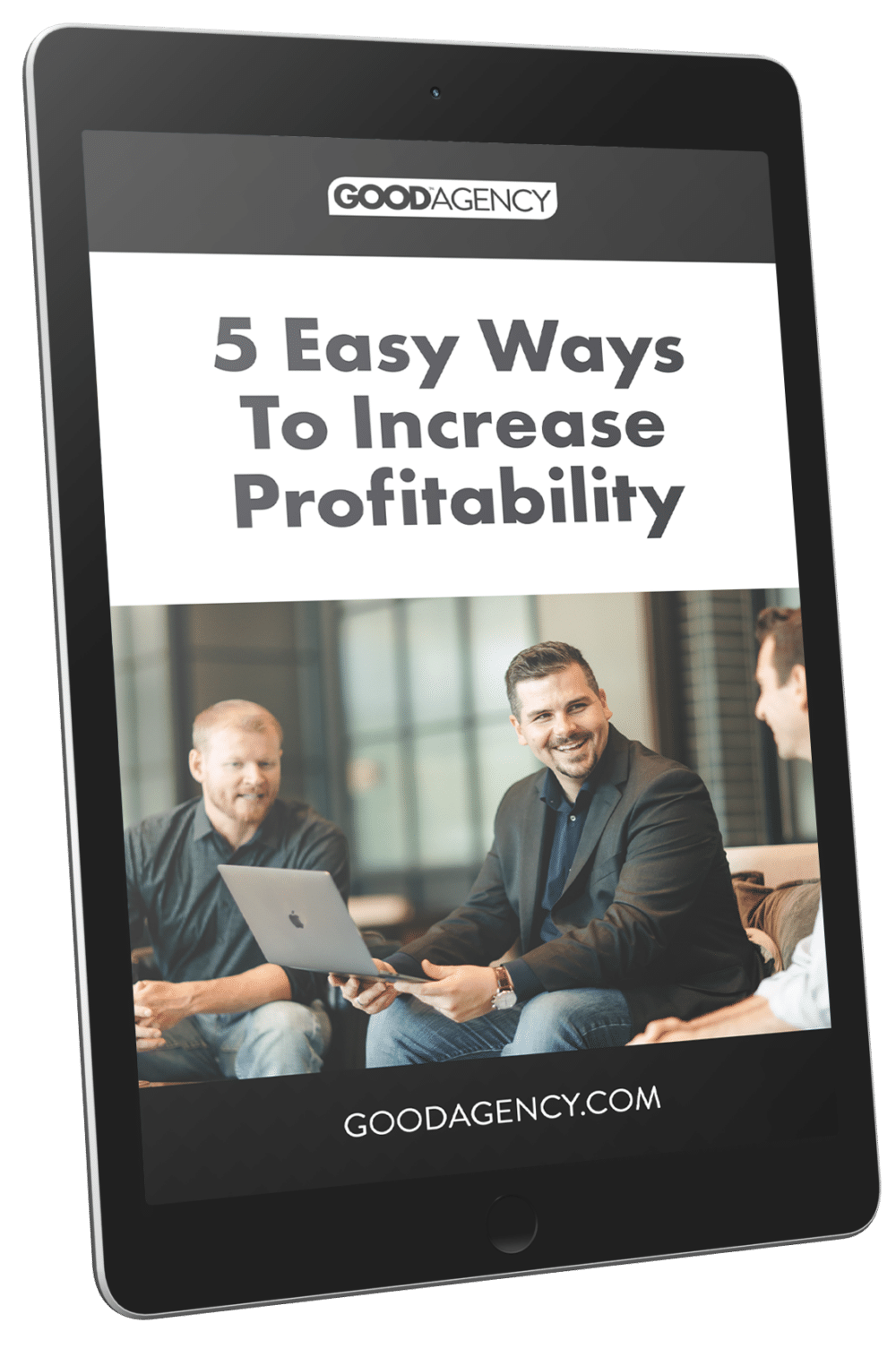 5 Easy Ways To Increase Profitability e-book on an eReader