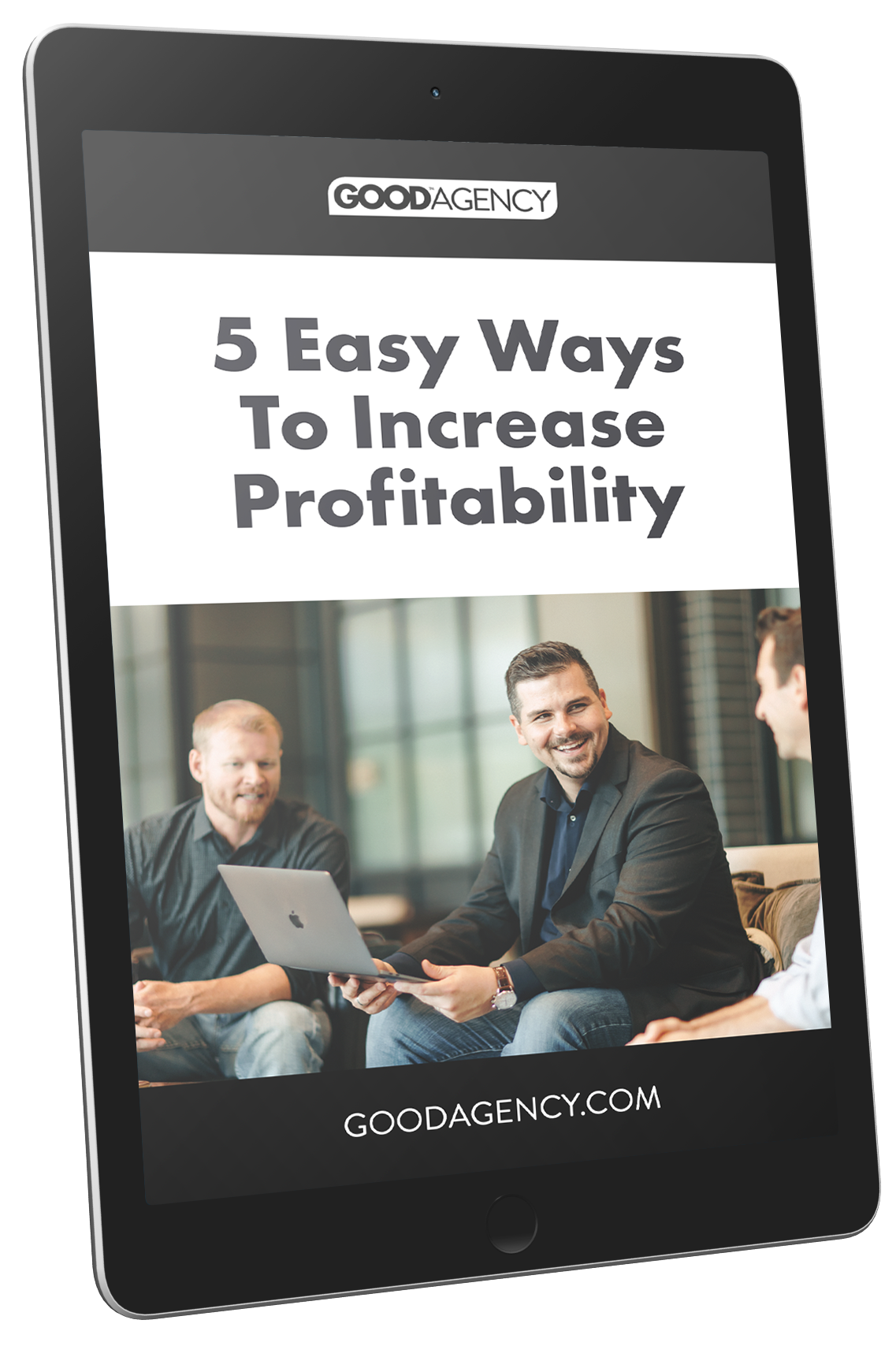 5 Easy Ways To Increase Profitability e-book on an eReader