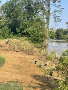 Coding to Conservation: Frank’s VPTO in Houston's Parks - Digital Marketing Agency in The Woodlands, Texas