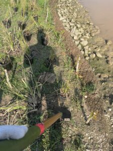 Coding to Conservation: Frank’s VPTO in Houston's Parks - Digital Marketing Agency in The Woodlands, Texas